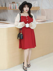 Elegant Plum A-line Long Sleeve Dress