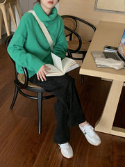 Casual Solid Color Blouse Sweater