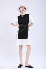 Spliced Layered Sleeves Loose Color Block Mini Dress