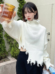 Irregular Hole Knit Long Sleeve Sweater