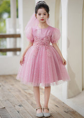 Elegant Pink O-Neck Embroideried Tulle Kids Long Dress Short Sleeve