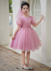 Elegant Pink O-Neck Embroideried Tulle Kids Long Dress Short Sleeve