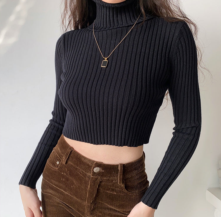 Amour Knitted Turtleneck Sweater