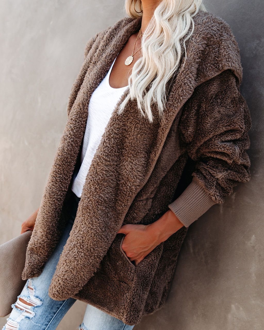 Casual Hooded Solid Color Plush Coat