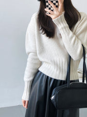 Simple Solid Color Turtleneck Sweater