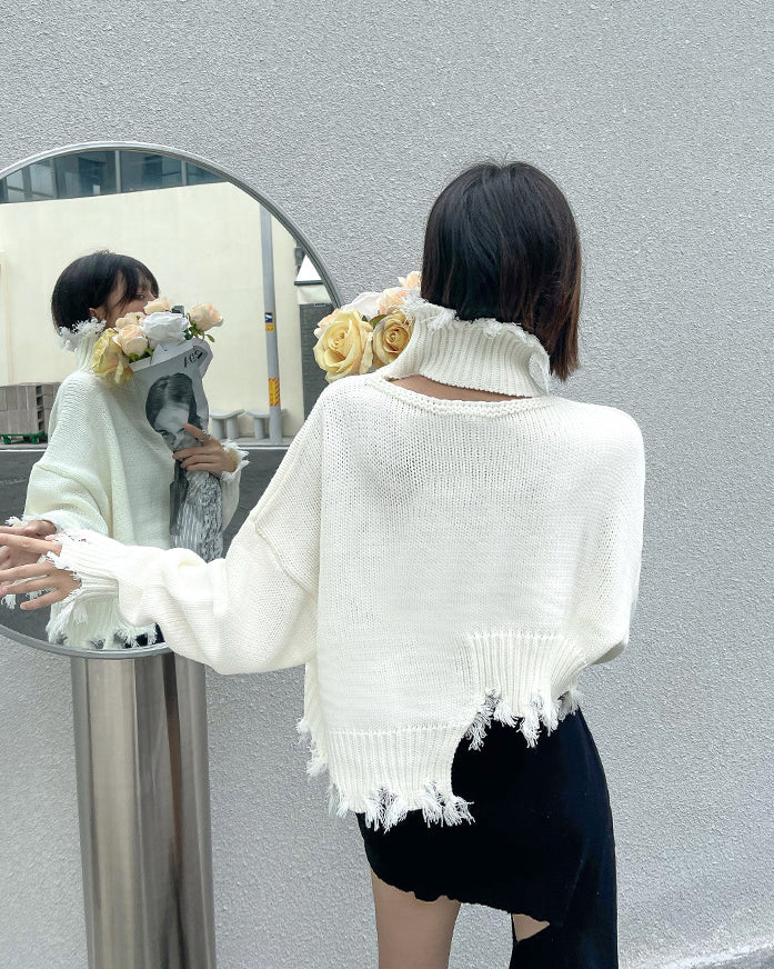 Irregular Hole Knit Long Sleeve Sweater