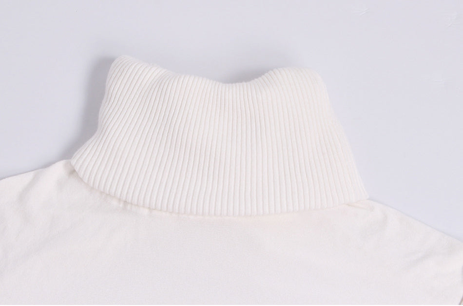 Loose Solid Color Turtleneck Pullover Sweater